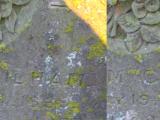 image of grave number 525510